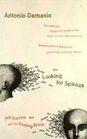 Looking For Spinoza voorzijde