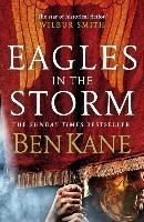 Eagles in the Storm voorzijde