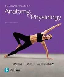 Fundamentals of Anatomy & Physiology voorzijde