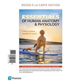 Essentials of Human Anatomy & Physiology voorzijde