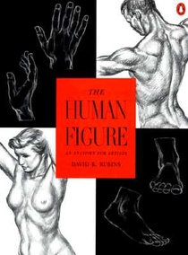 HUMAN FIGURE