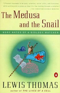 The Medusa and the Snail