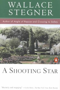 A Shooting Star