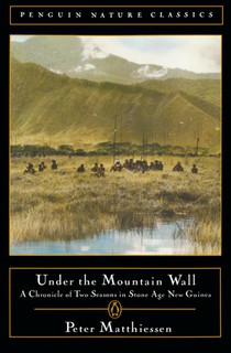 Under the Mountain Wall