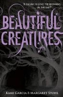 Beautiful Darkness (Book 2)