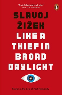 Like A Thief In Broad Daylight voorzijde