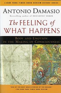 The Feeling of What Happens