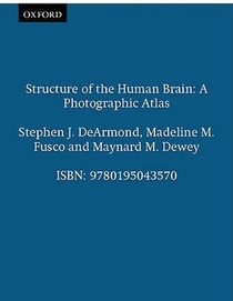 Structure of the Human Brain voorzijde