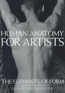 Human Anatomy for Artists