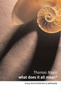 What Does It All Mean?: A Very Short Introduction to Philosophy voorzijde