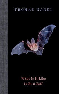 What Is It Like to Be a Bat? voorzijde