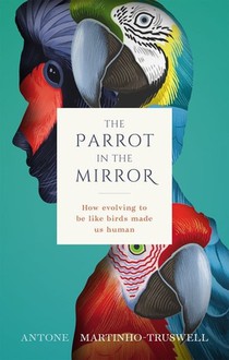 The Parrot in the Mirror voorzijde