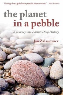 The Planet in a Pebble