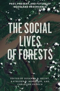 The Social Lives of Forests