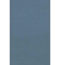 Ecological Morphology