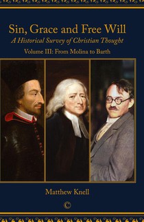 Sin, Grace and Free Will