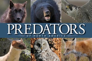 Predators of North America