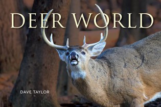 Deer World