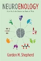 Neuroenology