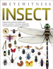 Insect