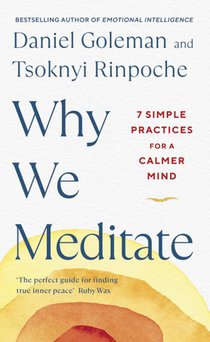 Why We Meditate voorzijde