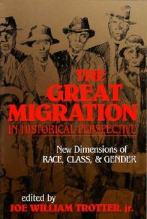 The Great Migration in Historical Perspective voorzijde