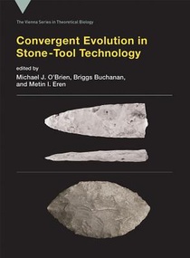 Convergent Evolution in Stone-Tool Technology