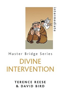 Divine Intervention voorzijde