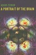 A Portrait of the Brain