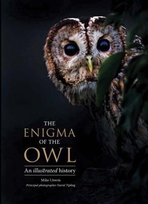 ENIGMA OF THE OWL voorzijde