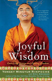 Joyful Wisdom voorzijde