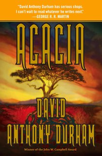 Acacia