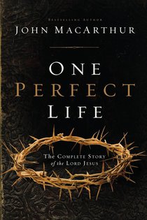 One Perfect Life