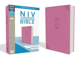 Zondervan: NIV, Value Thinline Bible, Imitation Leather, Pin