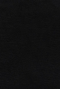Niv, Thompson Chain-Reference Bible, Handy Size, European Bonded Leather, Black, Thumb Indexed, Red Letter, Comfort Print