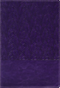 Amplified Holy Bible, Large Print, Leathersoft, Purple