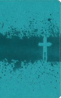 Niv, Kids' Visual Study Bible, Leathersoft, Teal, Full Color Interior: Explore the Story of the Bible---People, Places, and History voorzijde