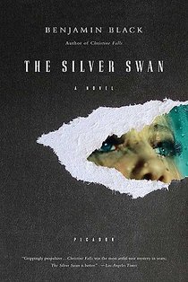 Silver Swan