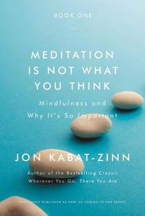 MEDITATION IS NOT WHAT YOU THI