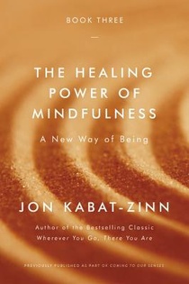 Healing Power of Mindfulness