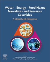 Water - Energy - Food Nexus Narratives and Resource Securities