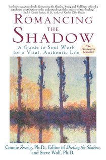 Romancing the Shadow