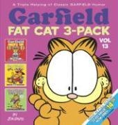 Garfield Fat Cat 3-Pack #13 voorzijde