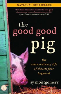 GOOD GOOD PIG