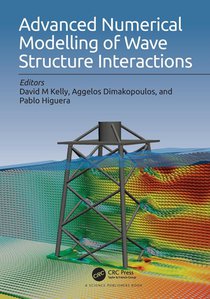 Advanced Numerical Modelling of Wave Structure Interaction