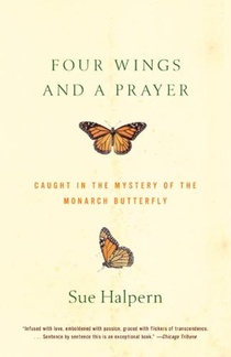 Four Wings and a Prayer: Caught in the Mystery of the Monarch Butterfly