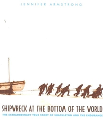 Shipwreck at the Bottom of the World