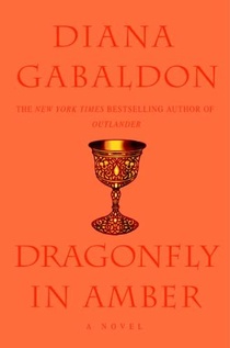 Dragonfly in Amber voorzijde