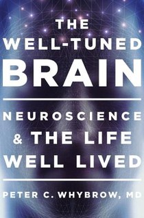 The Well-Tuned Brain