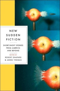 New Sudden Fiction voorzijde